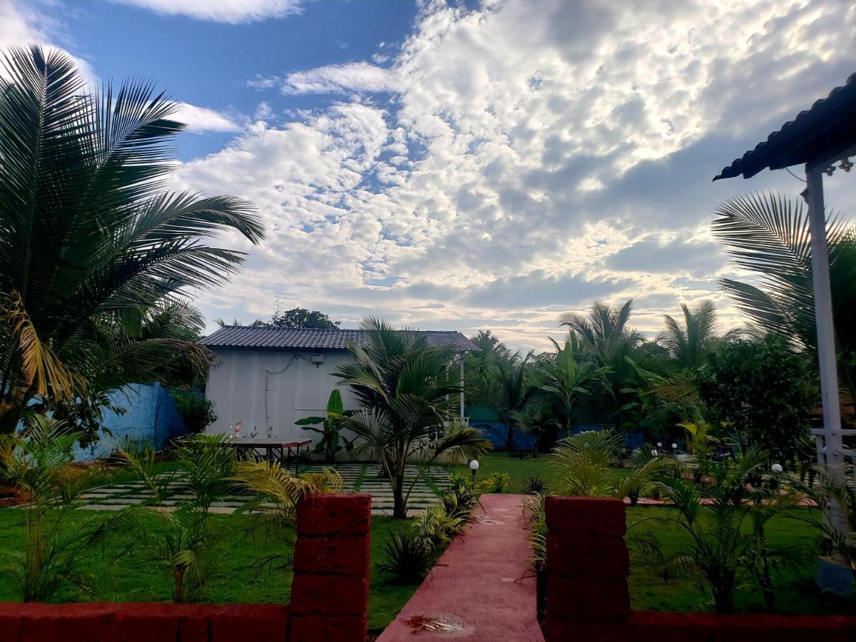 White Truffle Resort, Arambol Buitenkant foto
