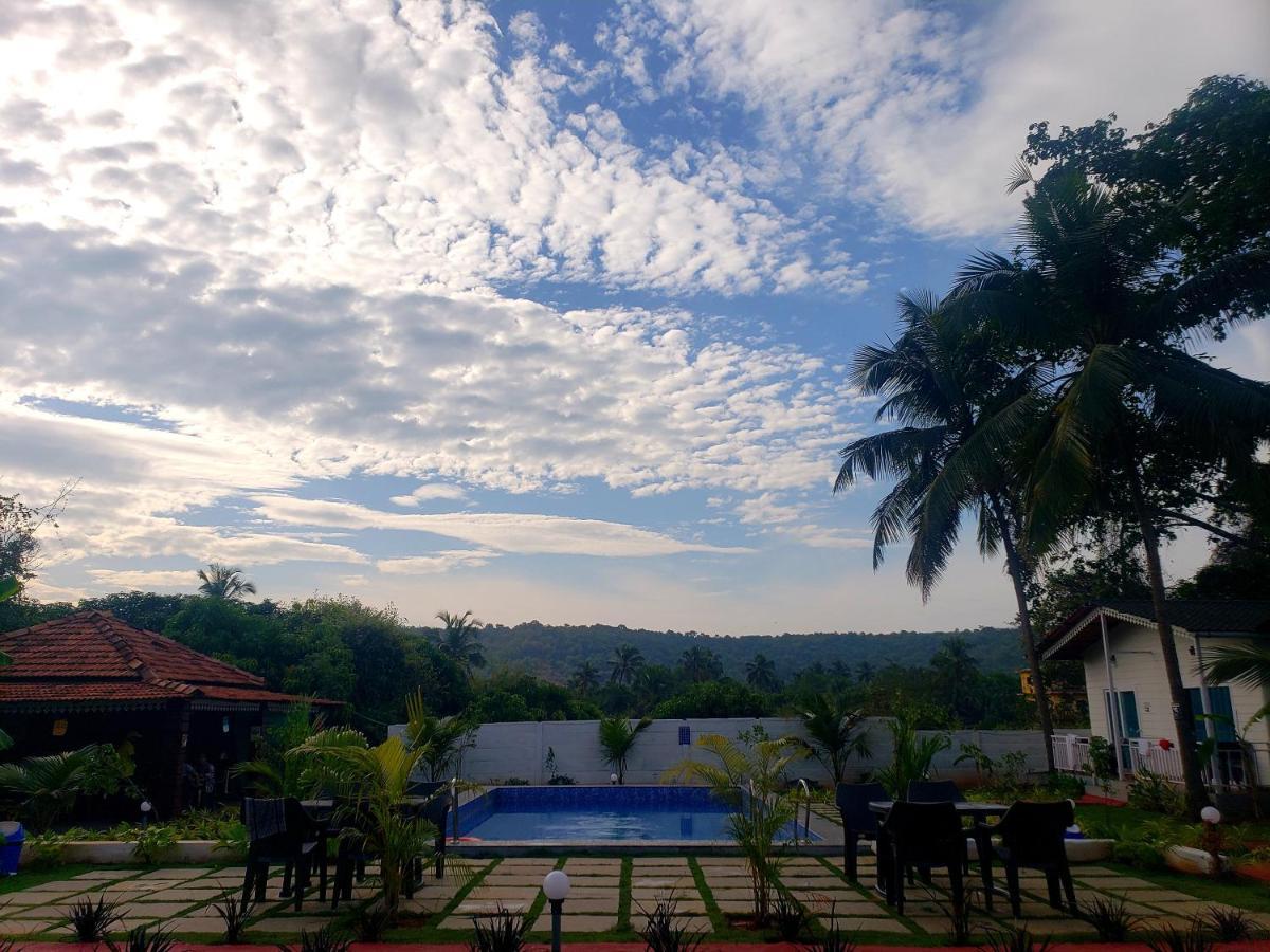 White Truffle Resort, Arambol Buitenkant foto