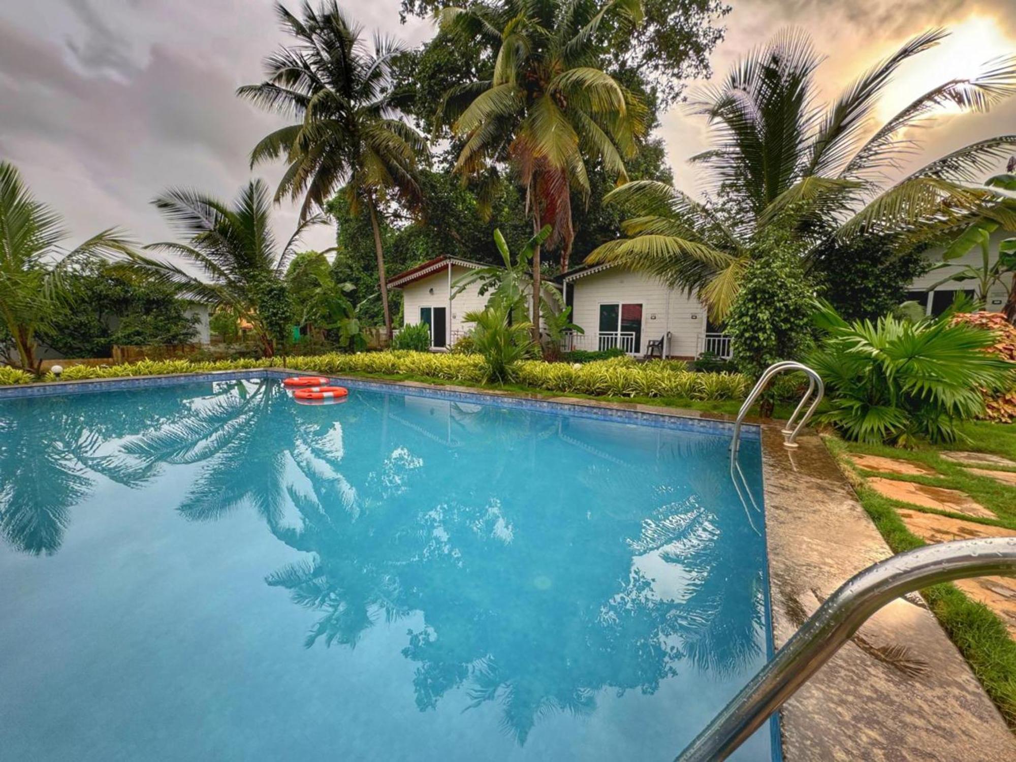 White Truffle Resort, Arambol Buitenkant foto