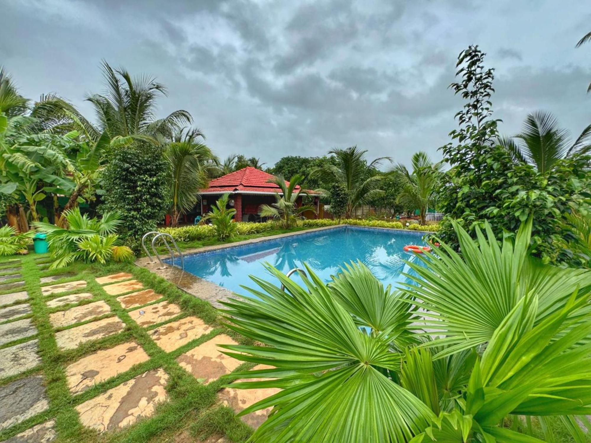 White Truffle Resort, Arambol Buitenkant foto