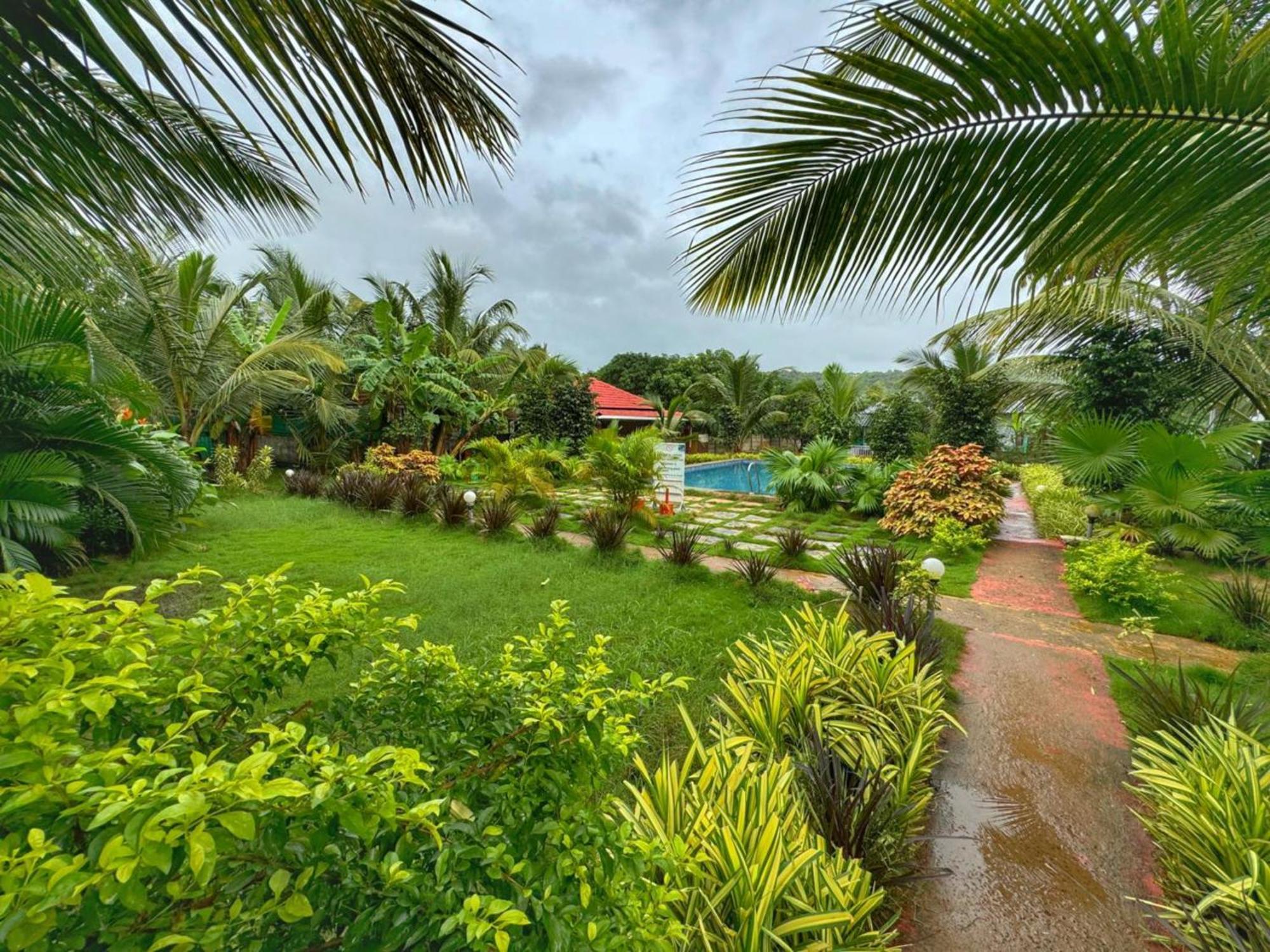 White Truffle Resort, Arambol Buitenkant foto