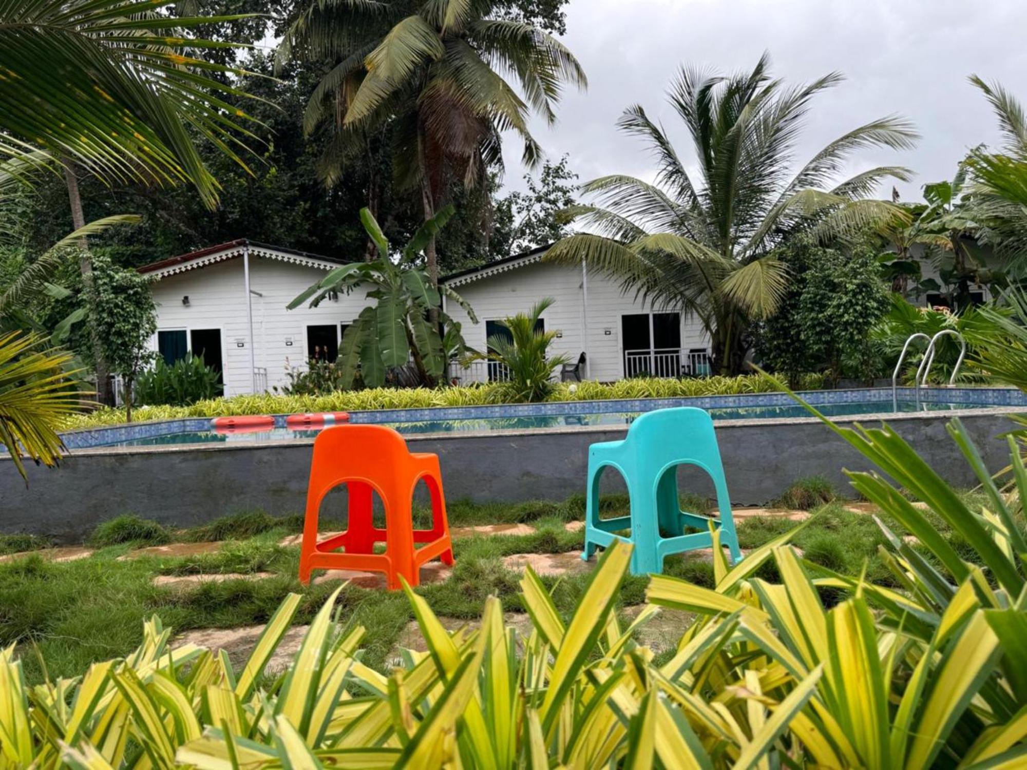White Truffle Resort, Arambol Buitenkant foto