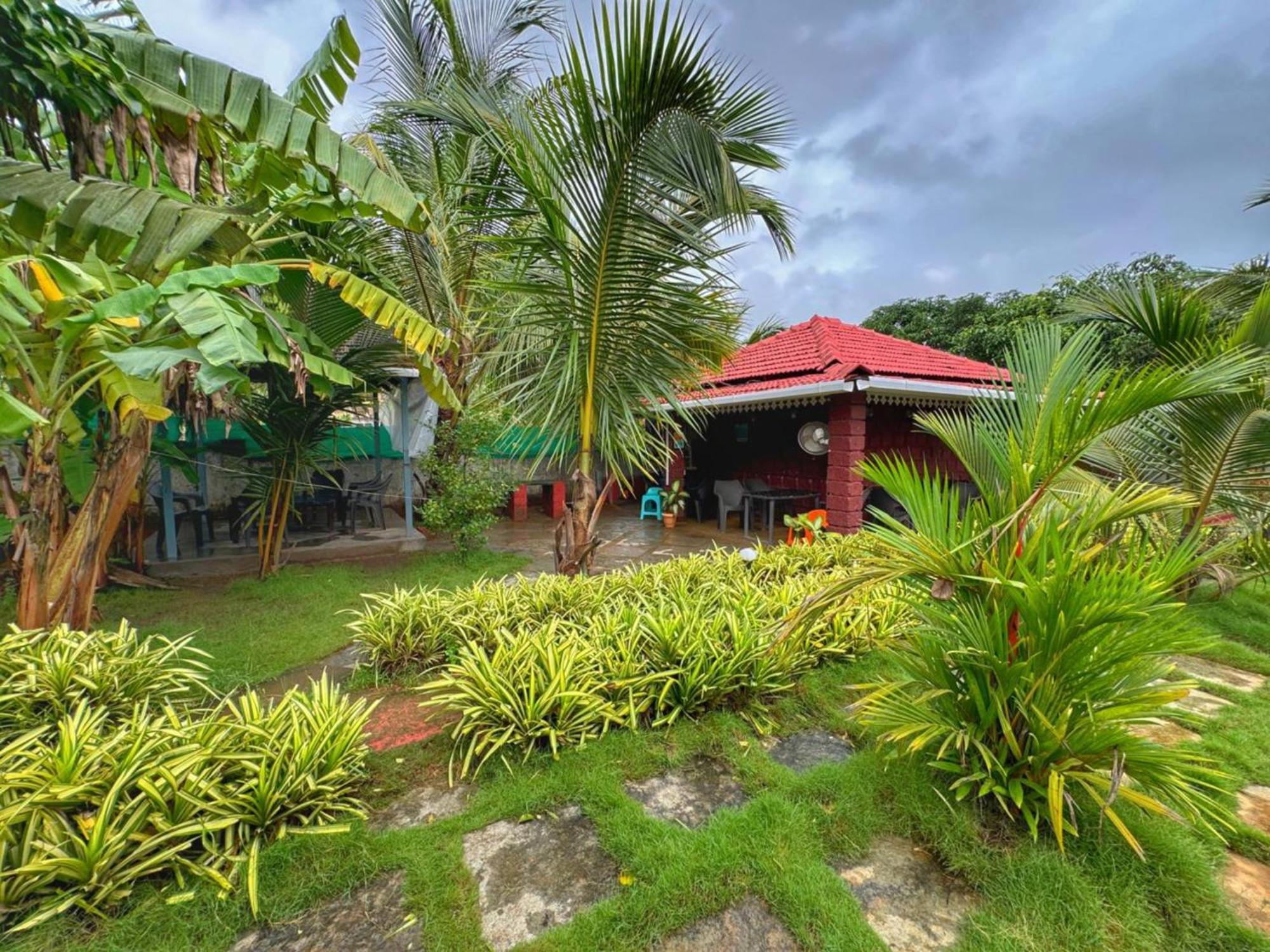 White Truffle Resort, Arambol Buitenkant foto