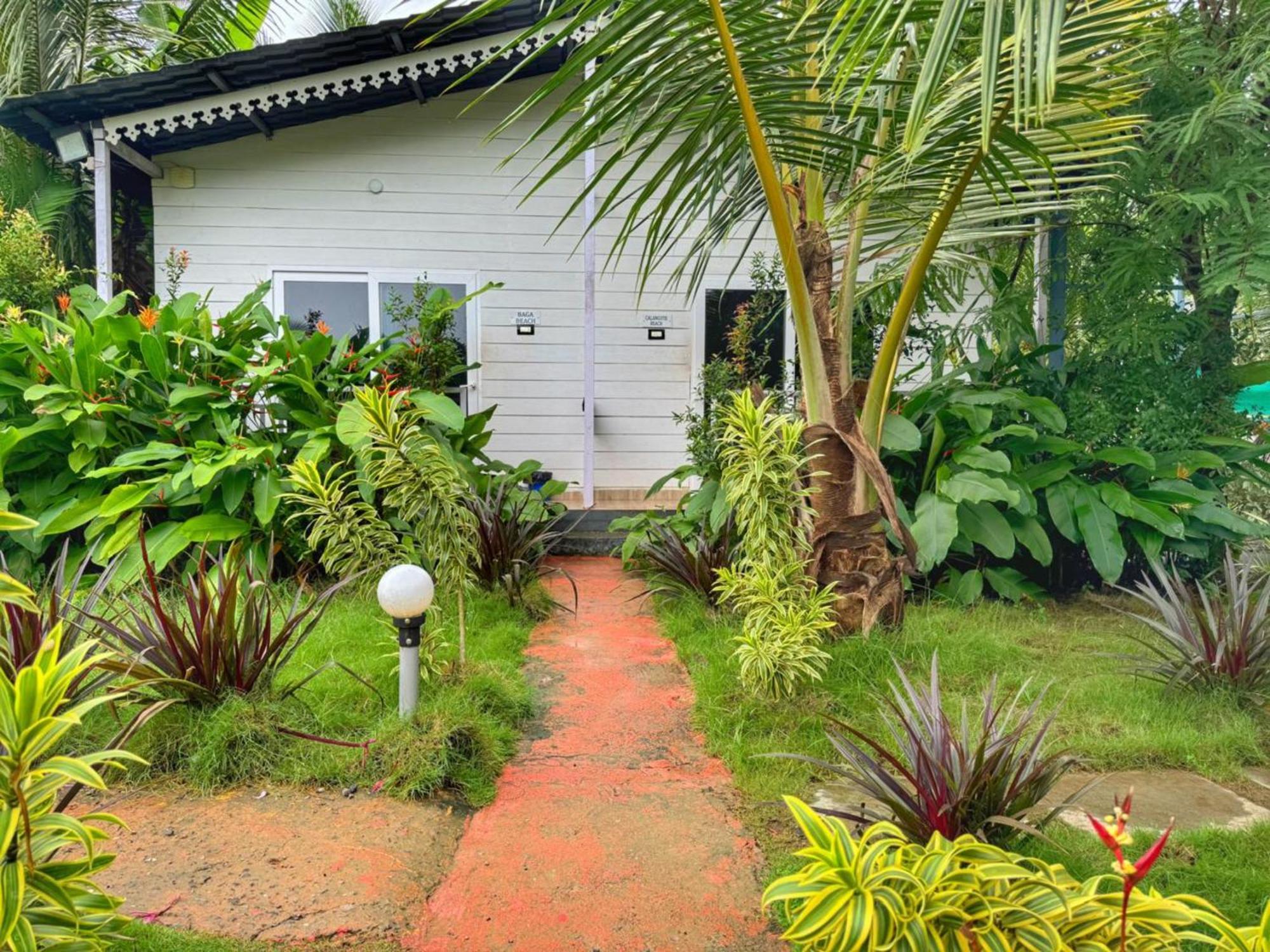 White Truffle Resort, Arambol Buitenkant foto